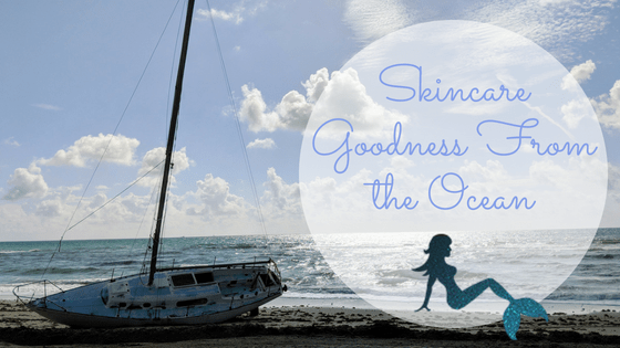 Skincare Goodness from the Ocean Blog Title