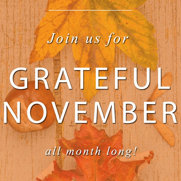 A Cruelty Free #GratefulNovember Blogger Challenge A Cruelty Free #GratefulNovember Blogger Challenge vertical graphic