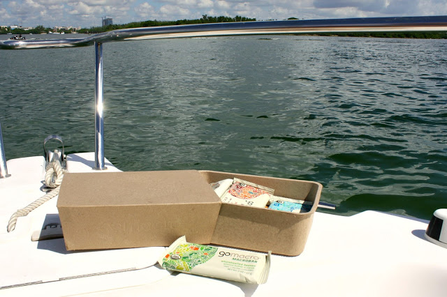 GoMacro Vegan Protein Macrobars