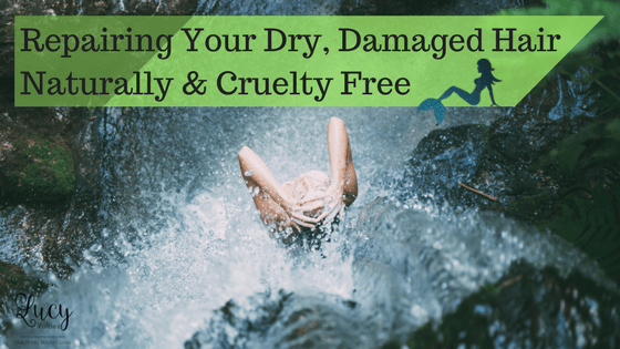 7 Easy, Foolproof Tips For Repairing Your Dry, Damaged Hair Naturally & Cruelty Free blog title