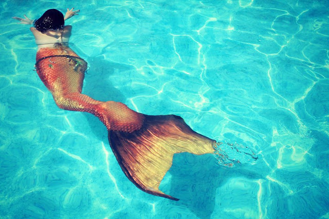 Mermaid swimming in the water